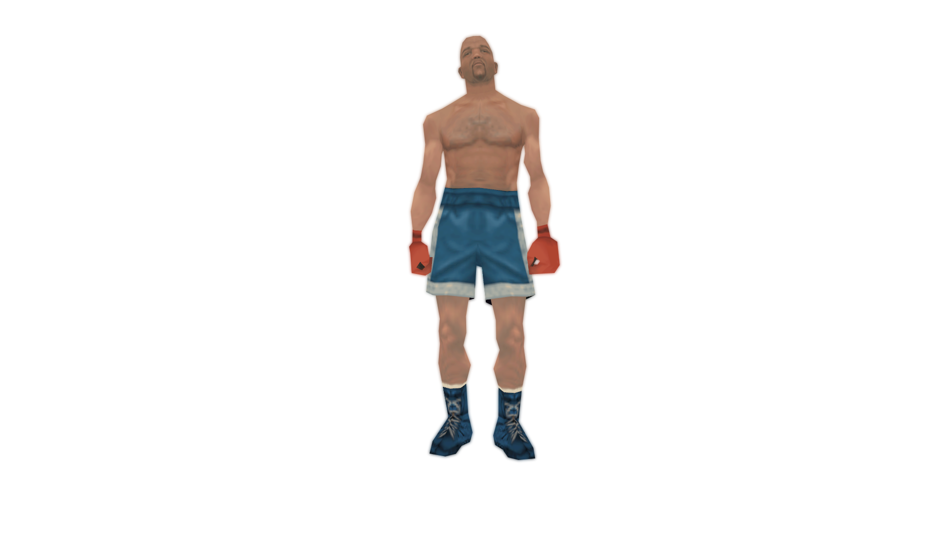 Boxer